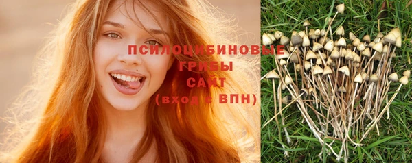 мескалин Пересвет