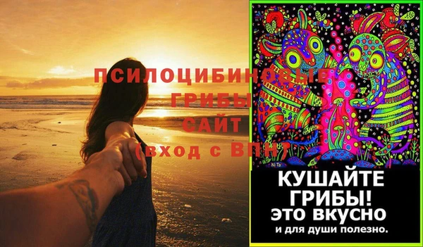 мескалин Переславль-Залесский