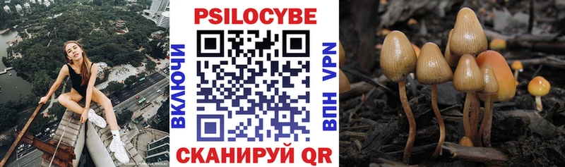 MEGA ссылки  Руза  Псилоцибиновые грибы MAGIC MUSHROOMS 